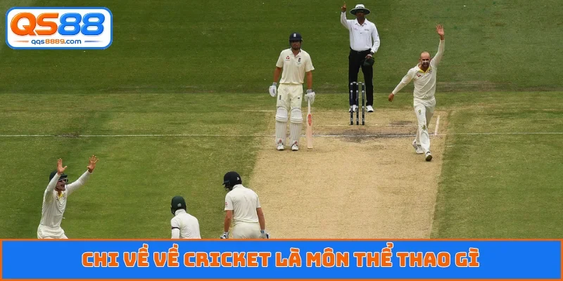 Cricket Là Môn Thể Thao Gì - Giải Mã Tường Tận Cho Anh Em