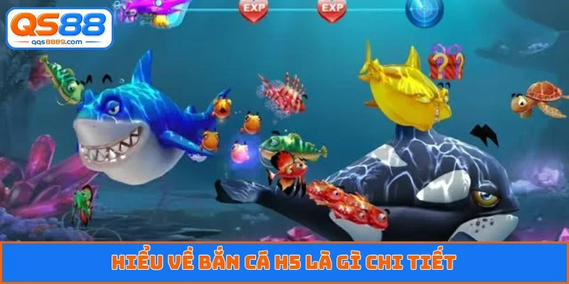 Bắn Cá H5 Là Gì - Tạo Nên Cơn Sốt Giải Trí Chấn Động 2026