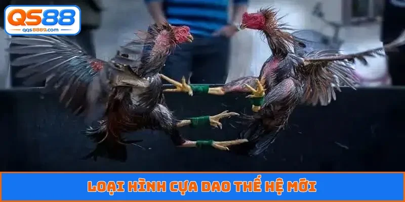 Đá Gà QS88 - Dõi Theo Trận Đấu Kịch Tính, Cá Độ Xanh Chín