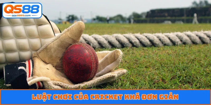 Cricket Là Môn Thể Thao Gì - Giải Mã Tường Tận Cho Anh Em